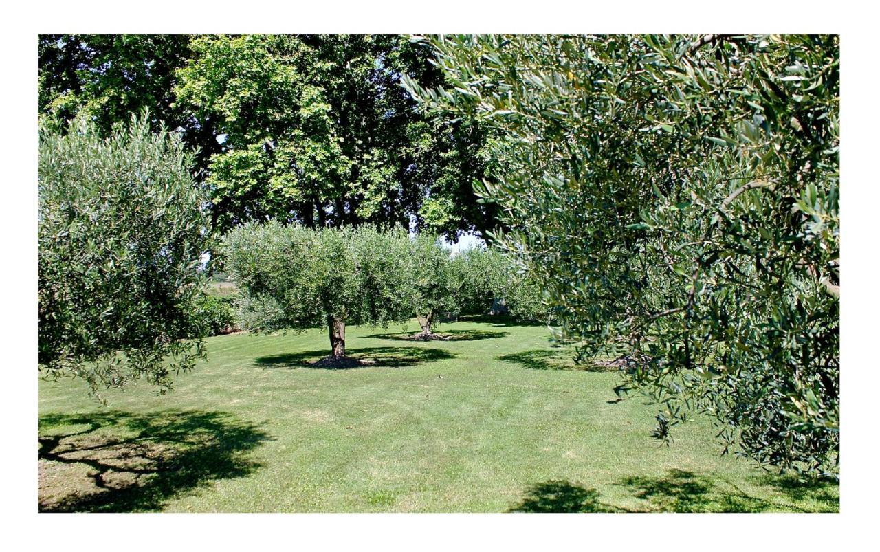 Le Domaine De Laforest Фонвией Екстериор снимка