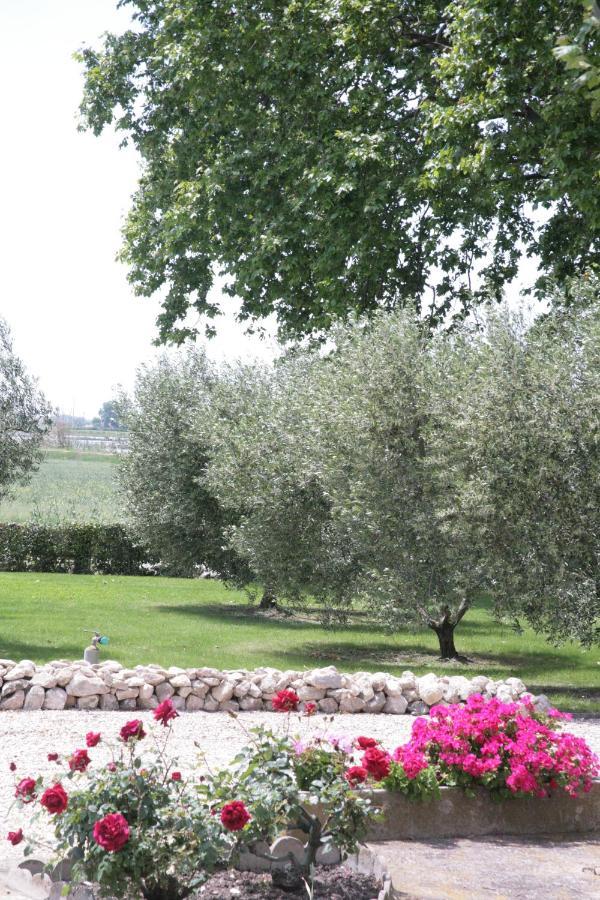 Le Domaine De Laforest Фонвией Екстериор снимка